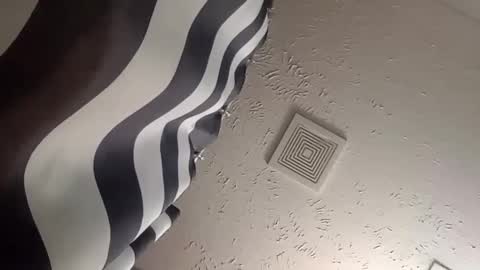 Snapshot of wanttowatch87 chatting on December 25, 5:58 am wanttowatch87 online show from December 25, 5:58 am