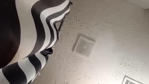 Snapshot of wanttowatch87 chatting on February 20, 7:34 am wanttowatch87 online show from February 20, 7:34 am