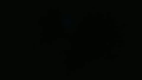 wapos__25 online show from November 25, 1:49 am