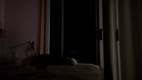 watershed111111 online show from January 14, 3:56 am