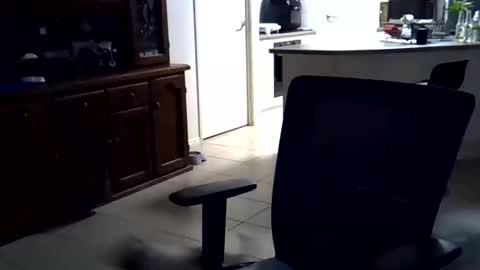 Snapshot of wellhelloo chatting on February 15, 12:36 pm Wellhelloo online show from February 15, 12:36 pm