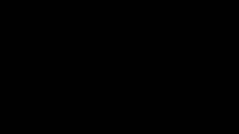 wellingtont online show from September 28, 2:06 am