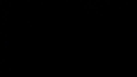 wellingtont online show from December 20, 4:08 am