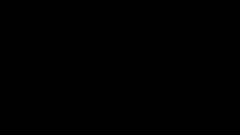 wellingtont online show from February 1, 11:36 pm