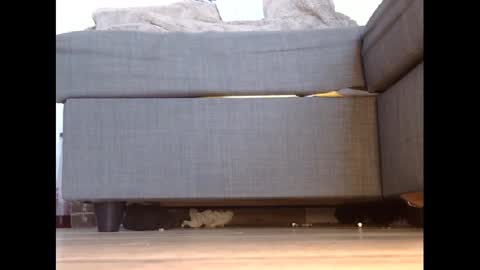 Snapshot of wet_pants2022 chatting on February 27, 4:43 pm wet_pants2022 online show from February 27, 4:43 pm