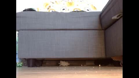 Snapshot of wet_pants2022 chatting on March 3, 4:46 pm wet_pants2022 online show from March 3, 4:46 pm