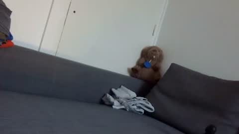 Snapshot of wet_pants2022 chatting on September 22, 7:10 am wet_pants2022 online show from September 22, 7:10 am