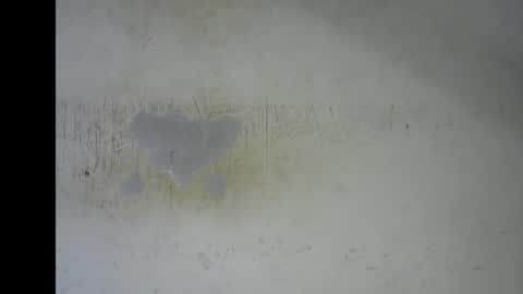 Snapshot of wet_pussy200 chatting on January 12, 7:19 pm Bella online show from January 12, 7:19 pm