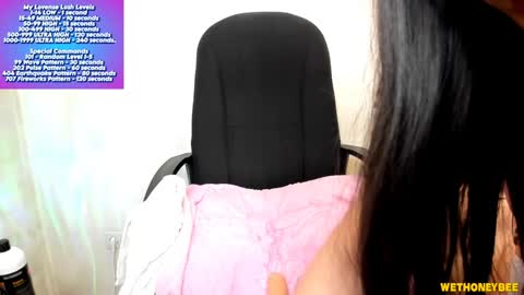 Snapshot of wethoneybee chatting on February 4, 10:45 pm Mina online show from February 4, 10:45 pm