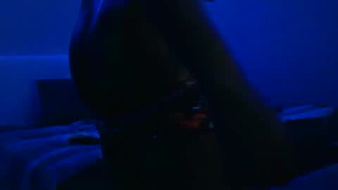 Snapshot of wetwildbigdick305 chatting on February 3, 10:36 am wetwildbigdick305 online show from February 3, 10:36 am
