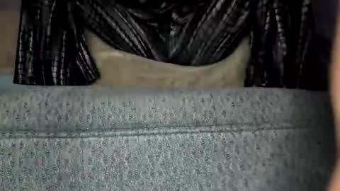 weweeworld online show from February 19, 8:21 am