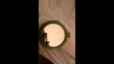 whetedoyouwantmetoputit online show from March 22, 10:02 pm