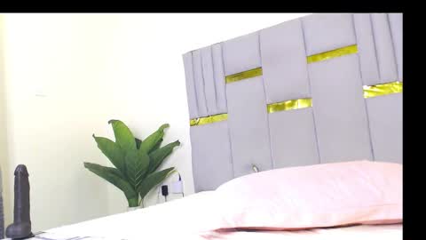 Whinebby online show from December 5, 7:39 am