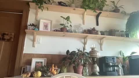 Snapshot of whiskylovexxx chatting on November 4, 4:50 pm WhiskyLove online show from November 4, 4:50 pm