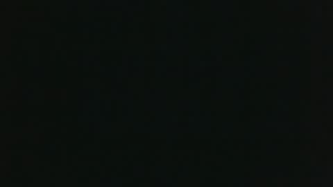 whitehead_lion online show from March 14, 11:04 am