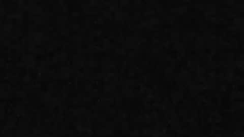 whitehead_lion online show from March 31, 6:52 pm