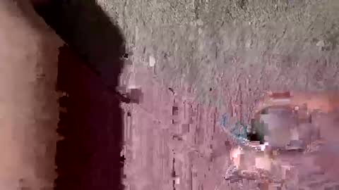 whitelava_4u online show from September 26, 10:30 am