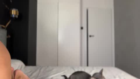 Snapshot of why_____not chatting on October 2, 4:14 pm Alice online show from October 2, 4:14 pm