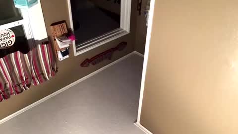 Snapshot of whynottoday33 chatting on October 27, 11:25 am whynottoday33 online show from October 27, 11:25 am