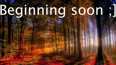 Wiedz online show from January 2, 11:06 pm