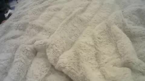 Ryder Harder online show from February 13, 9:41 am