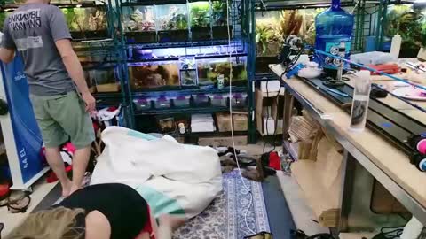 WifeNheels online show from June 7, 9:18 pm