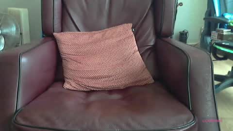 Snapshot of wilbert31 chatting on June 16, 7:44 am wilbert online show from June 16, 7:44 am
