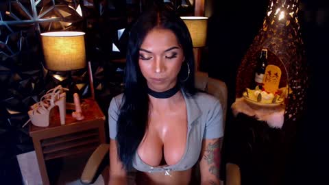 wildara online show from February 5, 3:31 pm