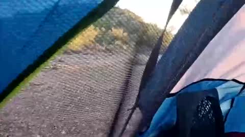 wildernessgoddess online show from November 14, 11:46 pm