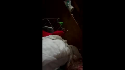 wildkatxx20 online show from March 19, 12:42 pm