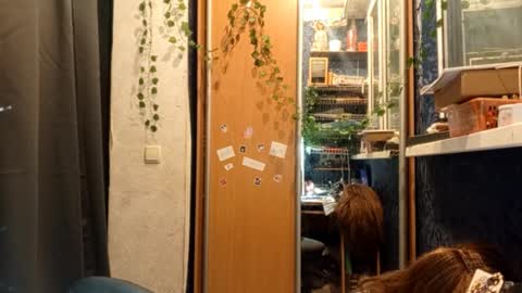 Snapshot of willodeanheitner chatting on February 11, 8:47 pm Phoebe online show from February 11, 8:47 pm