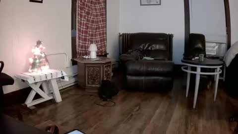 willydogg83 online show from December 16, 6:07 am