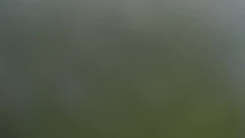 Snapshot of wisanonymousman chatting on November 11, 6:08 pm Wisa Randy online show from November 11, 6:08 pm