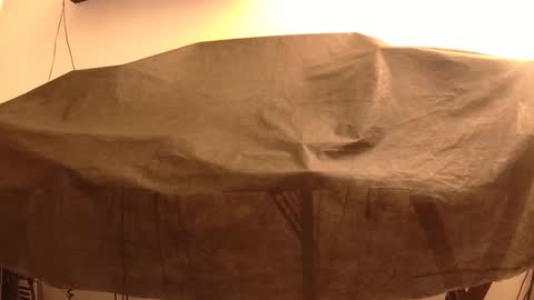 Mater online show from January 22, 4:02 pm