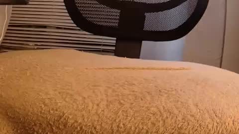 Mater online show from September 29, 8:30 am