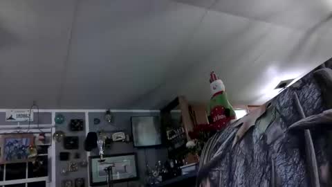 wldlife online show from November 25, 2:44 am