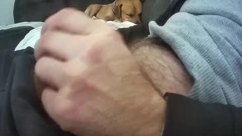 wmasolutions2020 online show from March 16, 8:57 pm