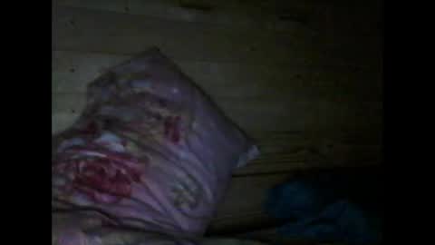 Snapshot of wolfvili chatting on March 10, 6:24 pm Vili online show from March 10, 6:24 pm