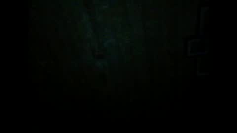 Snapshot of wolfvili chatting on March 20, 6:46 pm Vili online show from March 20, 6:46 pm