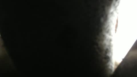 SHENIEL RODRIGUEZ online show from February 17, 5:41 pm