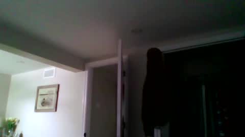 Snapshot of woodeee77 chatting on March 15, 5:08 pm woodeee77 online show from March 15, 5:08 pm