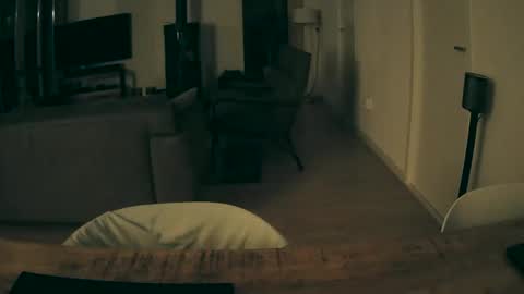 Snapshot of woodwurm chatting on November 10, 3:05 am woodwurm and Snoeske online show from November 10, 3:05 am