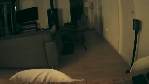 Snapshot of woodwurm chatting on December 15, 5:44 am woodwurm and Snoeske online show from December 15, 5:44 am