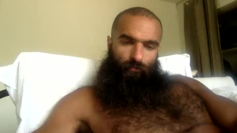 Snapshot of woof_wolf37 chatting on May 18, 7:31 pm woof_wolf37 online show from May 18, 7:31 pm