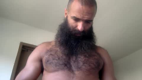 Snapshot of woof_wolf37 chatting on May 19, 3:40 pm woof_wolf37 online show from May 19, 3:40 pm