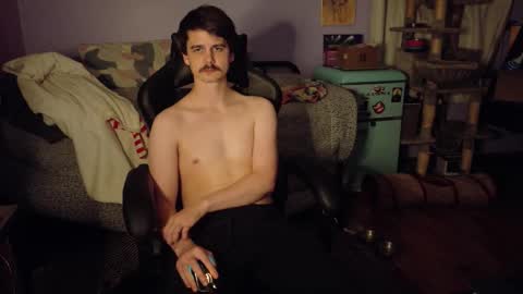 Wyatt online show from November 20, 7:19 am