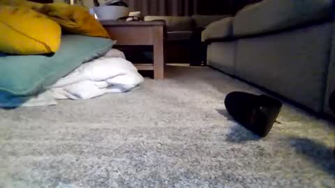 wyndir online show from November 15, 7:32 pm