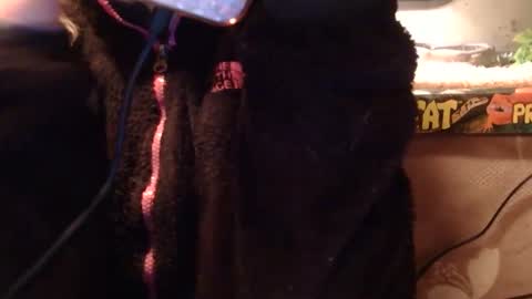 Snapshot of x2kayx2 chatting on January 10, 11:31 pm x2kayx2 online show from January 10, 11:31 pm