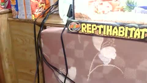 Snapshot of x2kayx2 chatting on January 13, 9:42 pm x2kayx2 online show from January 13, 9:42 pm