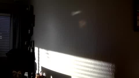 xarizonamikex online show from June 1, 1:24 pm